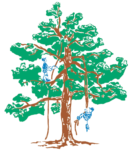 Baum-Service Ortsiefer